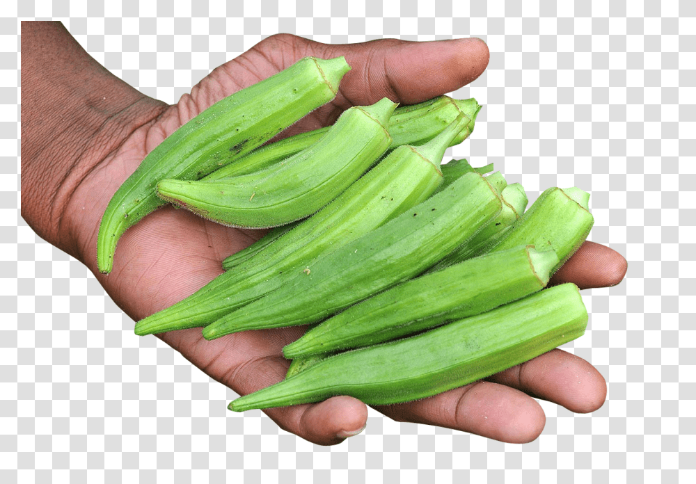 Hand With Okra Image, Vegetable, Plant, Produce, Food Transparent Png