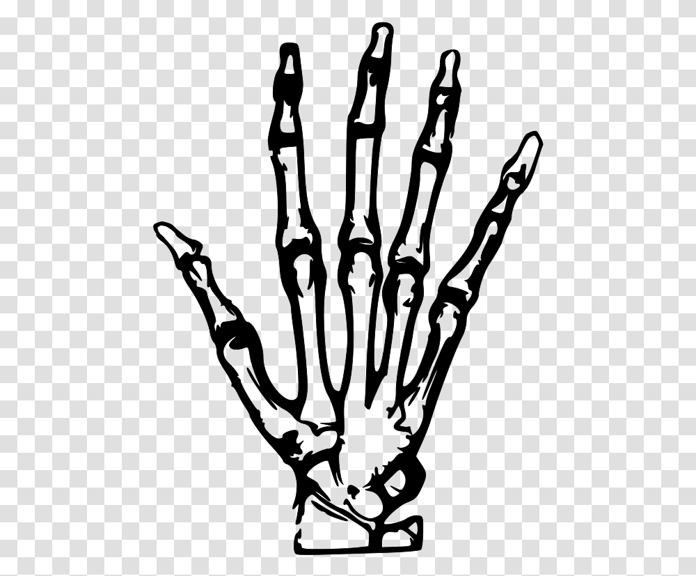 Hand X Ray Vector File Vector Clip Art, Gray, World Of Warcraft Transparent Png