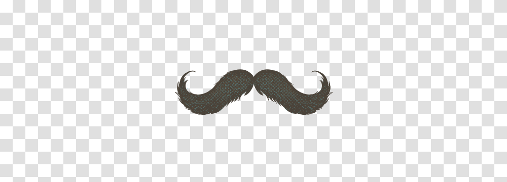 Handlebar Mustache, Rug, Animal, Gecko, Reptile Transparent Png