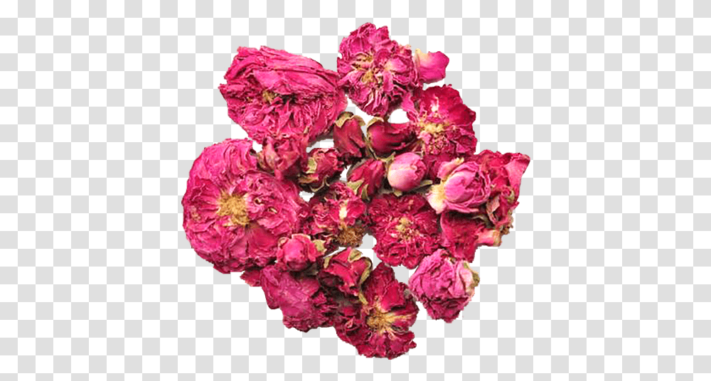Handmade Fresh Healhty Medicinal Herbs Damask Rose Bouquet, Plant, Flower, Blossom, Carnation Transparent Png