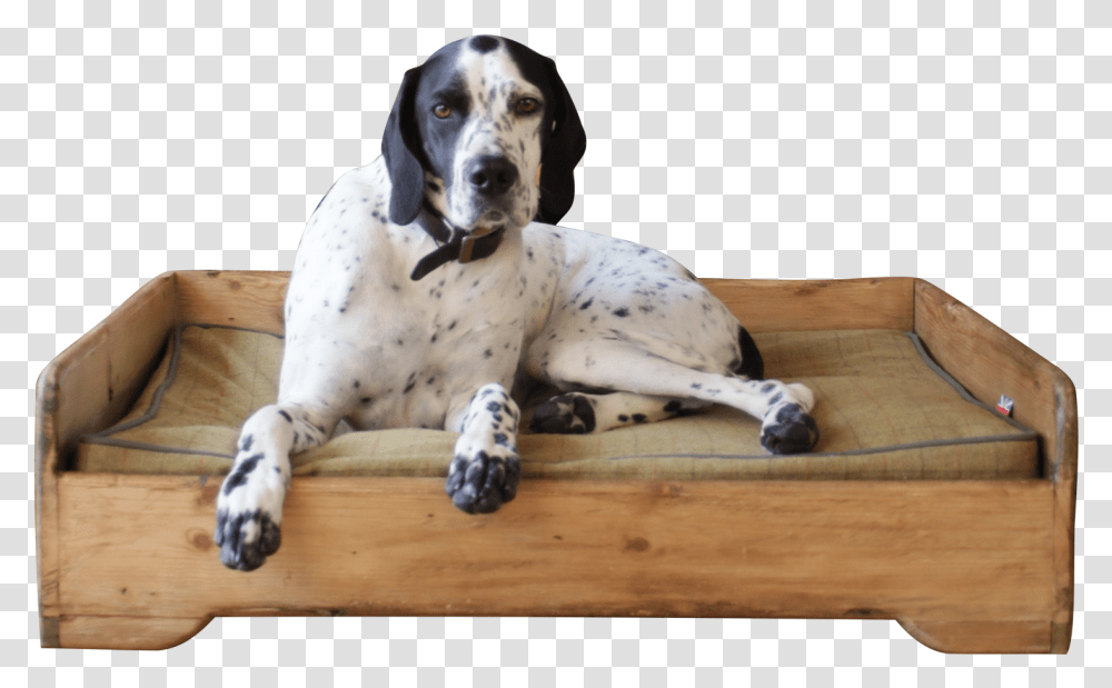 Handmade Wooden Dog Bed Hunt And Wilson Dog Dog Yawns, Pet, Canine, Animal, Mammal Transparent Png