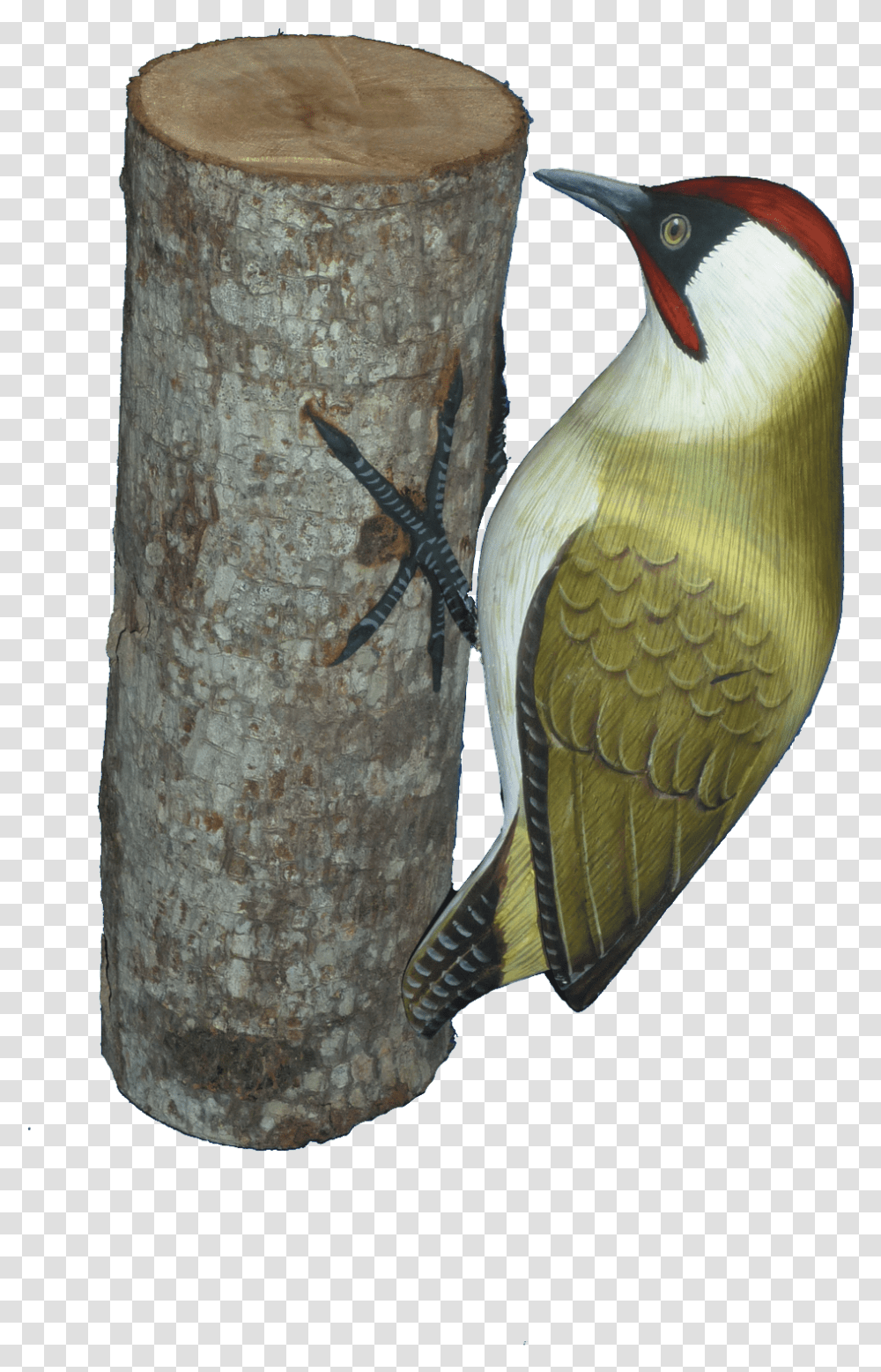 Handpainted Carved Green Woodpecker British Birds Hand Carved, Animal, Lizard, Bee Eater, Beak Transparent Png
