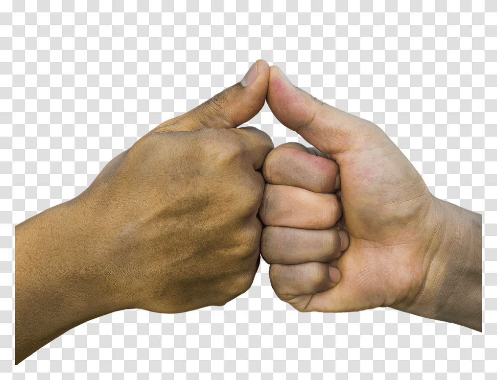 Hands 960, Person, Finger, Human, Thumbs Up Transparent Png
