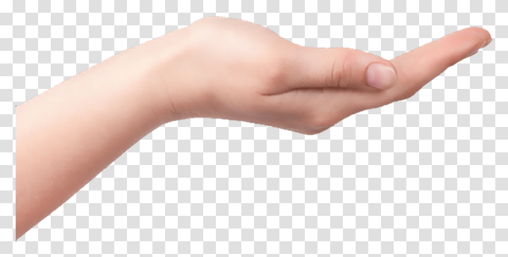 Hands Arms, Wrist, Person, Finger, Skin Transparent Png