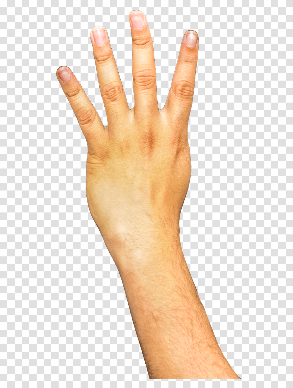 Hands Fingers Arm Background Arm, Wrist, Person, Human Transparent Png