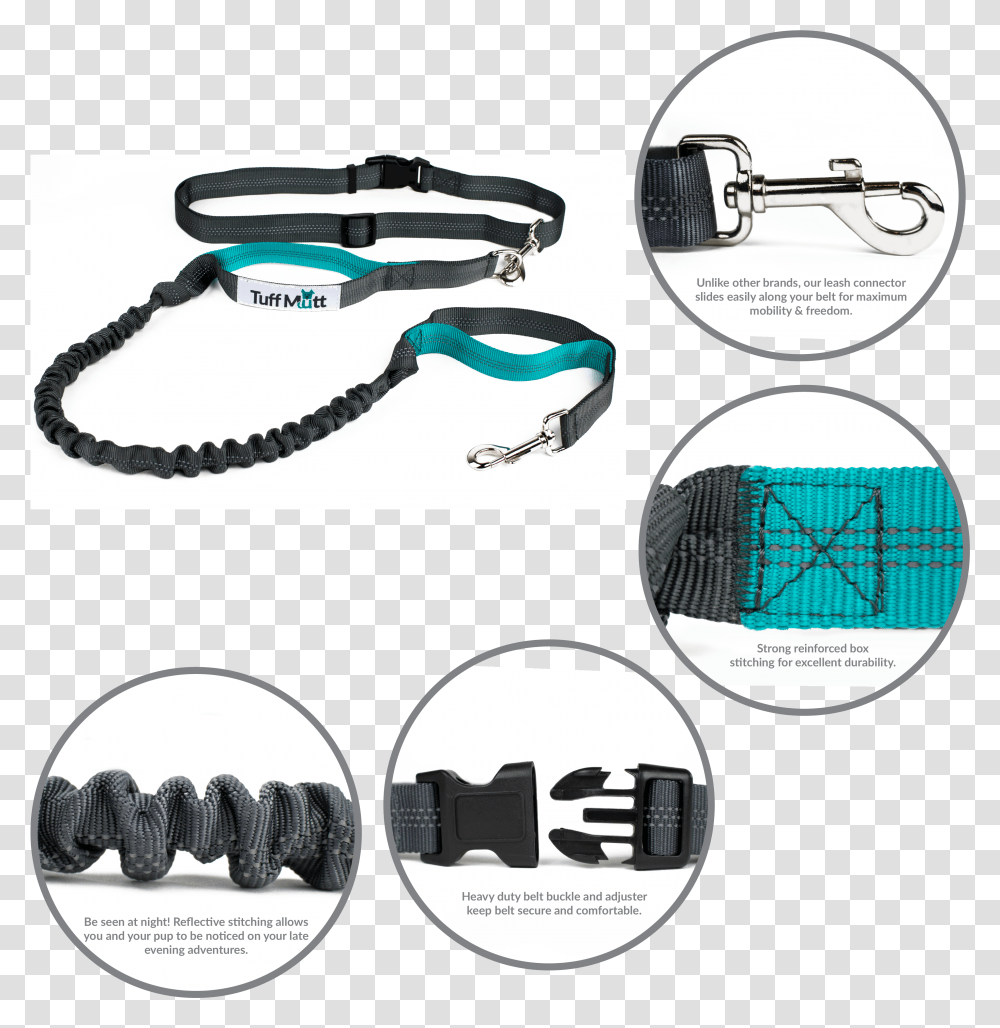 Hands Free Bungee Leash Leash Transparent Png