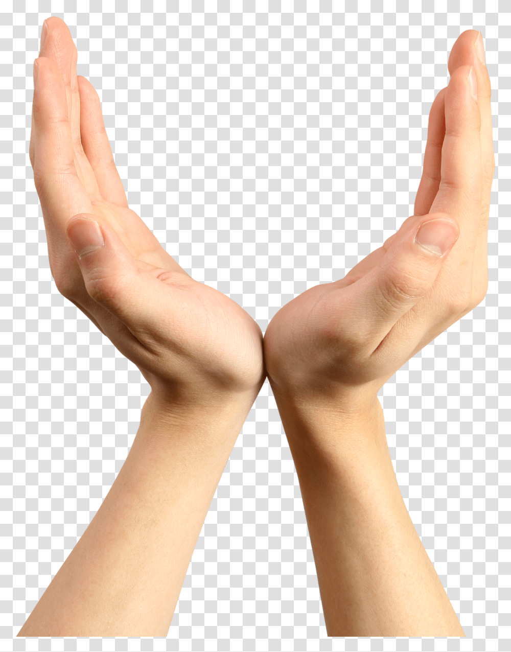 Hands Free Images Pictures Download Hand Healing Hands, Person, Human, Wrist, Finger Transparent Png