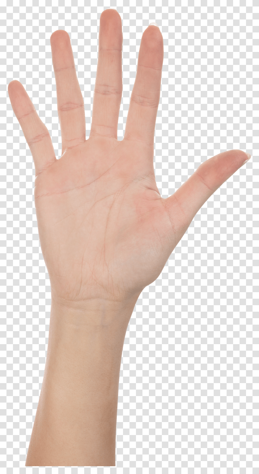 Hands Free Images Pictures Download Hand, Wrist, Person, Human, Skin Transparent Png