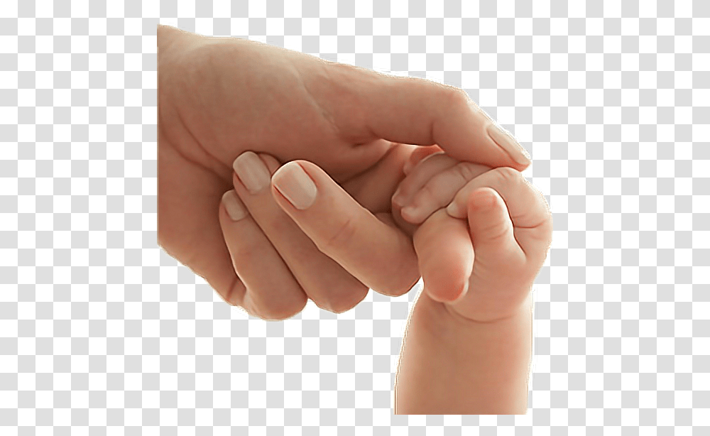 Hands Freetoedit Right To Life, Person, Human, Wrist, Holding Hands Transparent Png