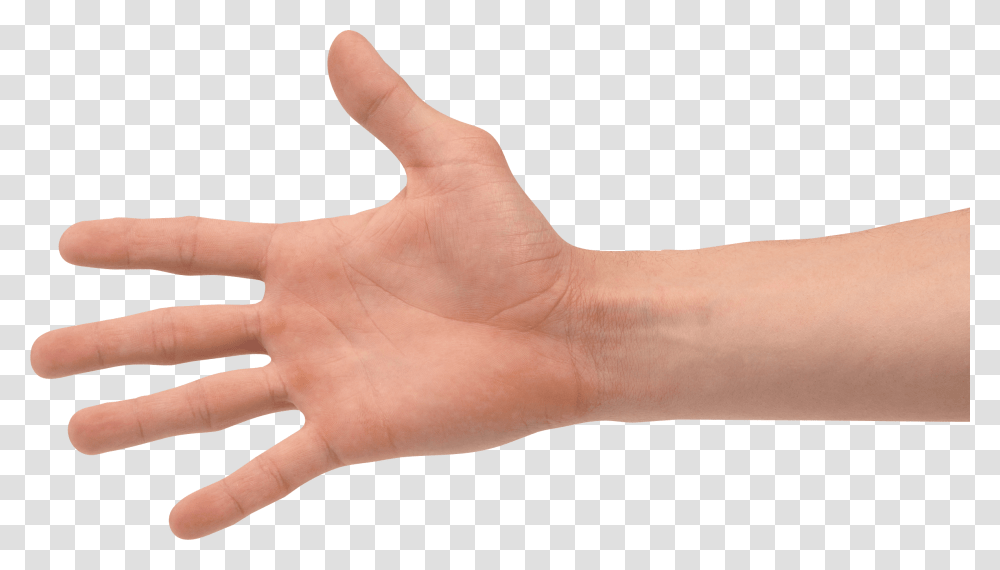 Hands Hand Image Image Hand, Wrist, Person, Human, Finger Transparent Png