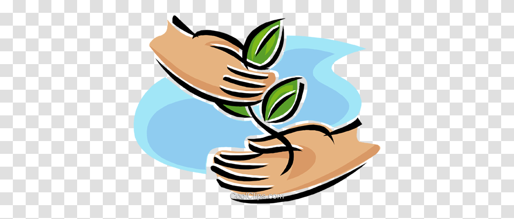 Hands Holding A Sapling Growth Royalty Free Vector Clip Art, Apparel, Washing, Footwear Transparent Png