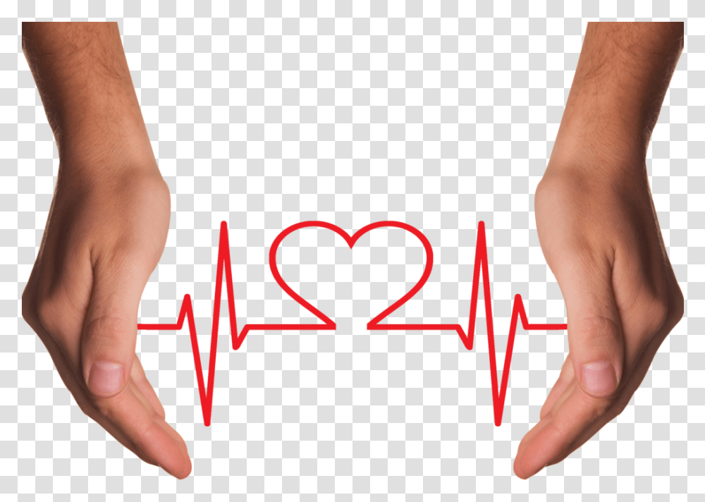 Hands Holding Red Heart With Ecg Line Image Combats Disease, Person, Heel, Skin, Face Transparent Png