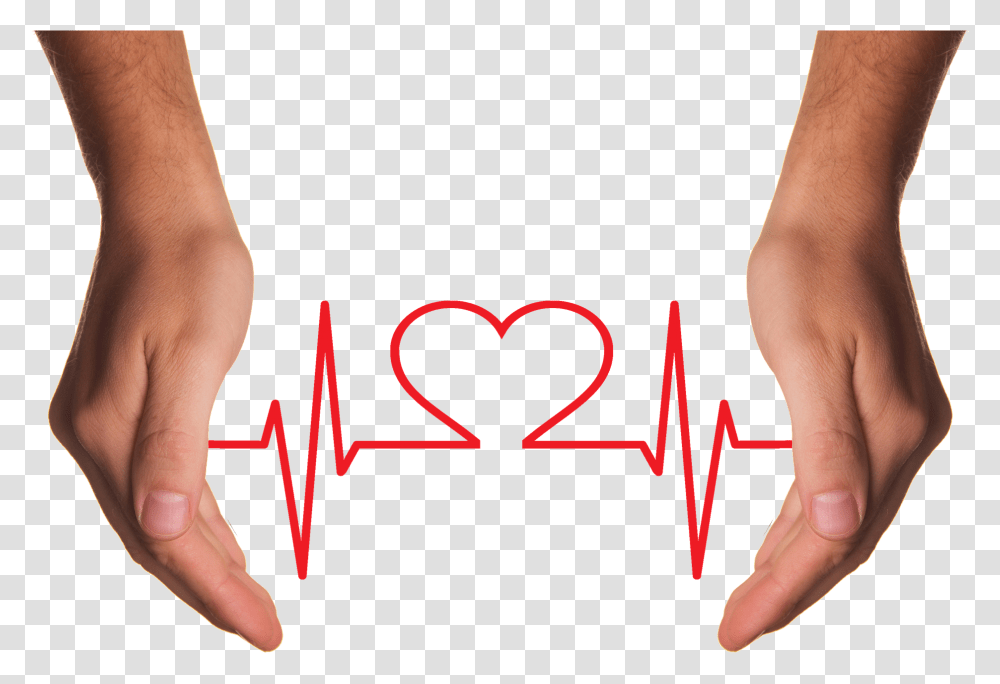 Hands Holding Red Heart With Ecg Line Image Estres En La Salud, Heel, Person, Ankle, Skin Transparent Png