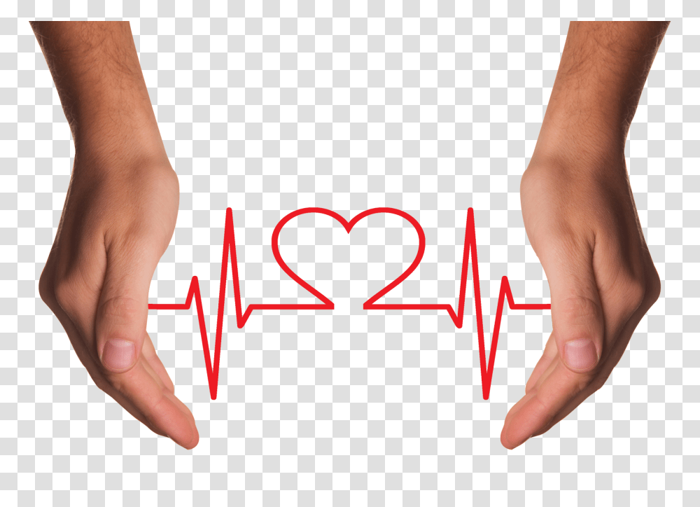 Hands Holding Red Heart With Ecg Line Image, Person, Human, Holding Hands, Wrist Transparent Png