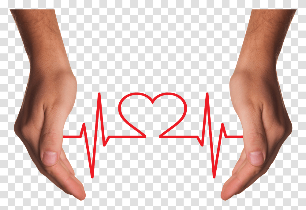 Hands Holding Red Heart With Ecg Line Image Pngpix Estres En La Salud, Person, Skin, Heel, Back Transparent Png
