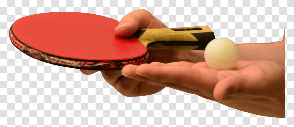 Hands Holding Table Tennis Of Racket And Ball Transparent Png