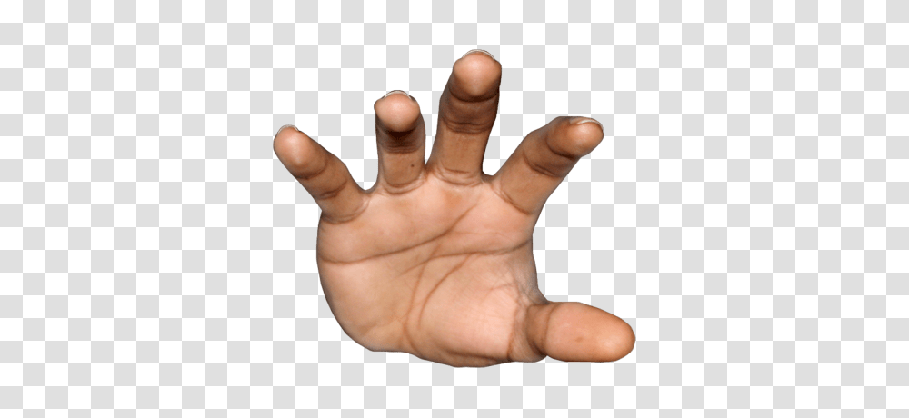 Hands Images, Person, Human, Wrist, Finger Transparent Png