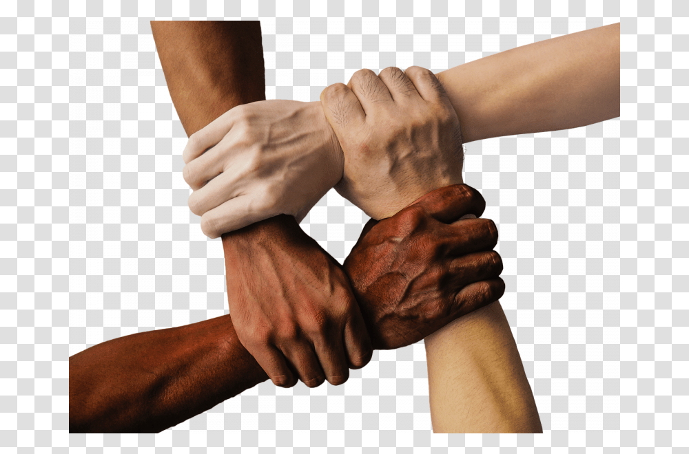 Hands Of Different Races, Wrist, Person, Human, Finger Transparent Png