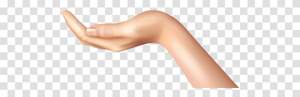 Hands, Person, Arm, Human, Wrist Transparent Png