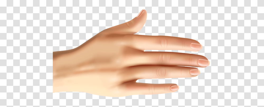 Hands, Person, Finger, Wrist, Human Transparent Png