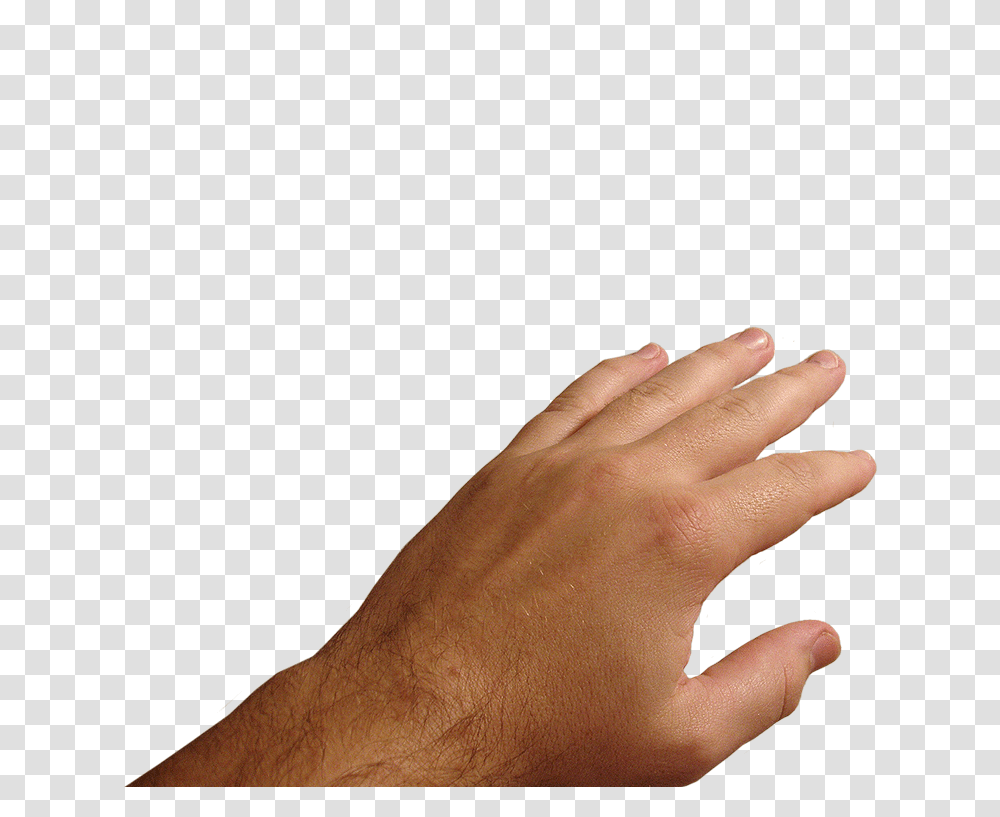 Hands, Person, Human, Finger, Wrist Transparent Png