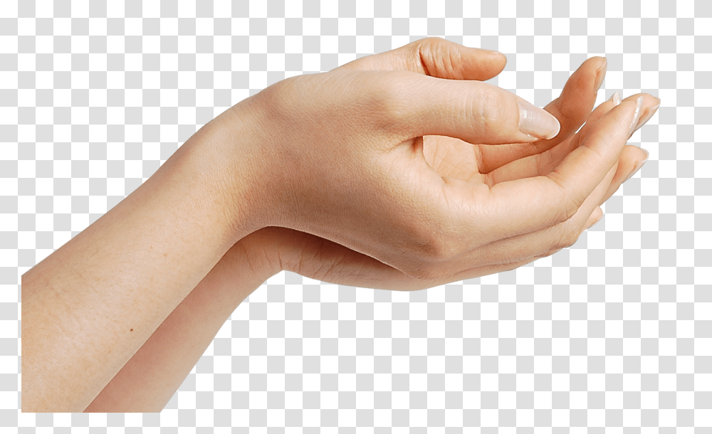 Hands, Person, Human, Finger, Wrist Transparent Png