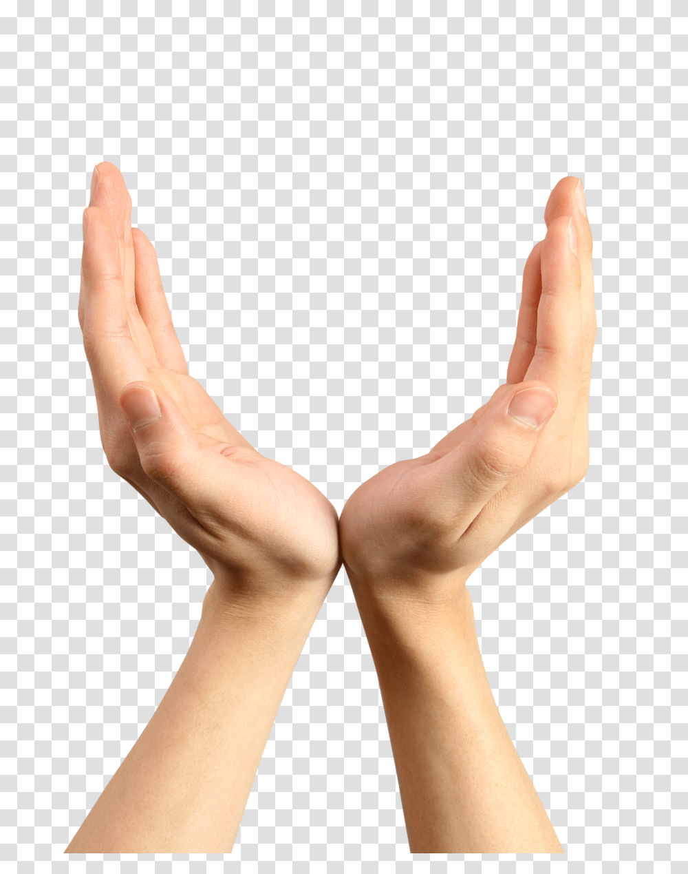 Hands, Person, Human, Finger, Wrist Transparent Png