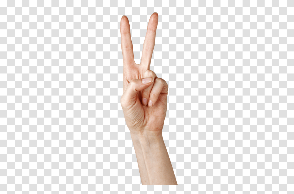 Hands, Person, Human, Finger, Wrist Transparent Png