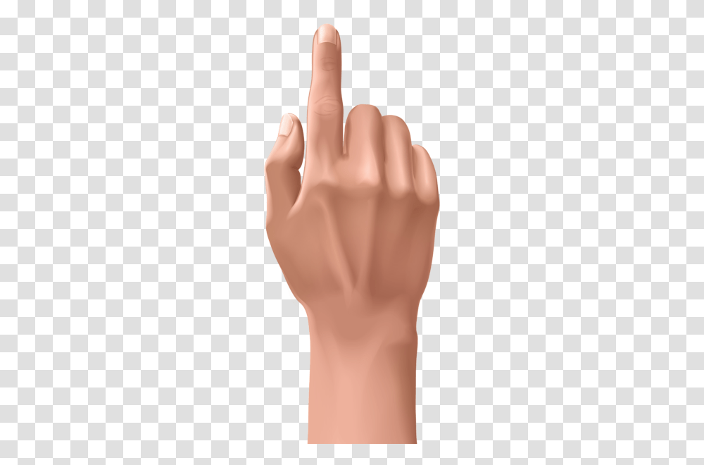 Hands, Person, Human, Finger, Wrist Transparent Png