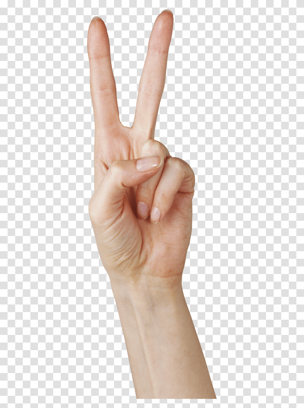 Hands, Person, Human, Finger, Wrist Transparent Png