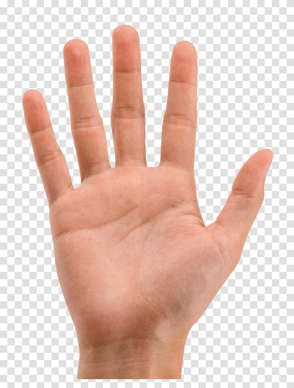 Hands, Person, Human, Finger, Wrist Transparent Png