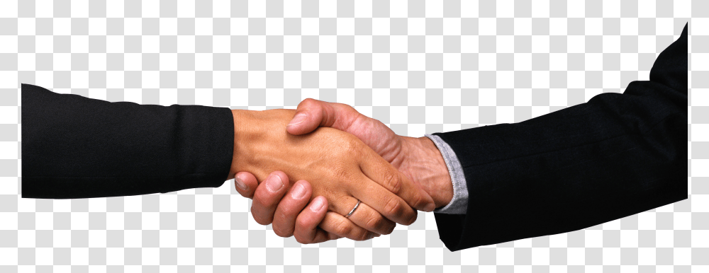 Hands, Person, Human, Handshake, Holding Hands Transparent Png