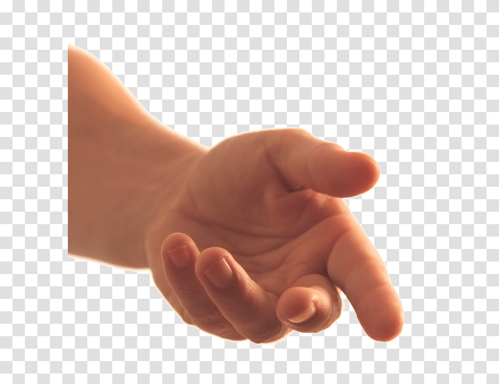 Hands, Person, Human, Holding Hands, Finger Transparent Png