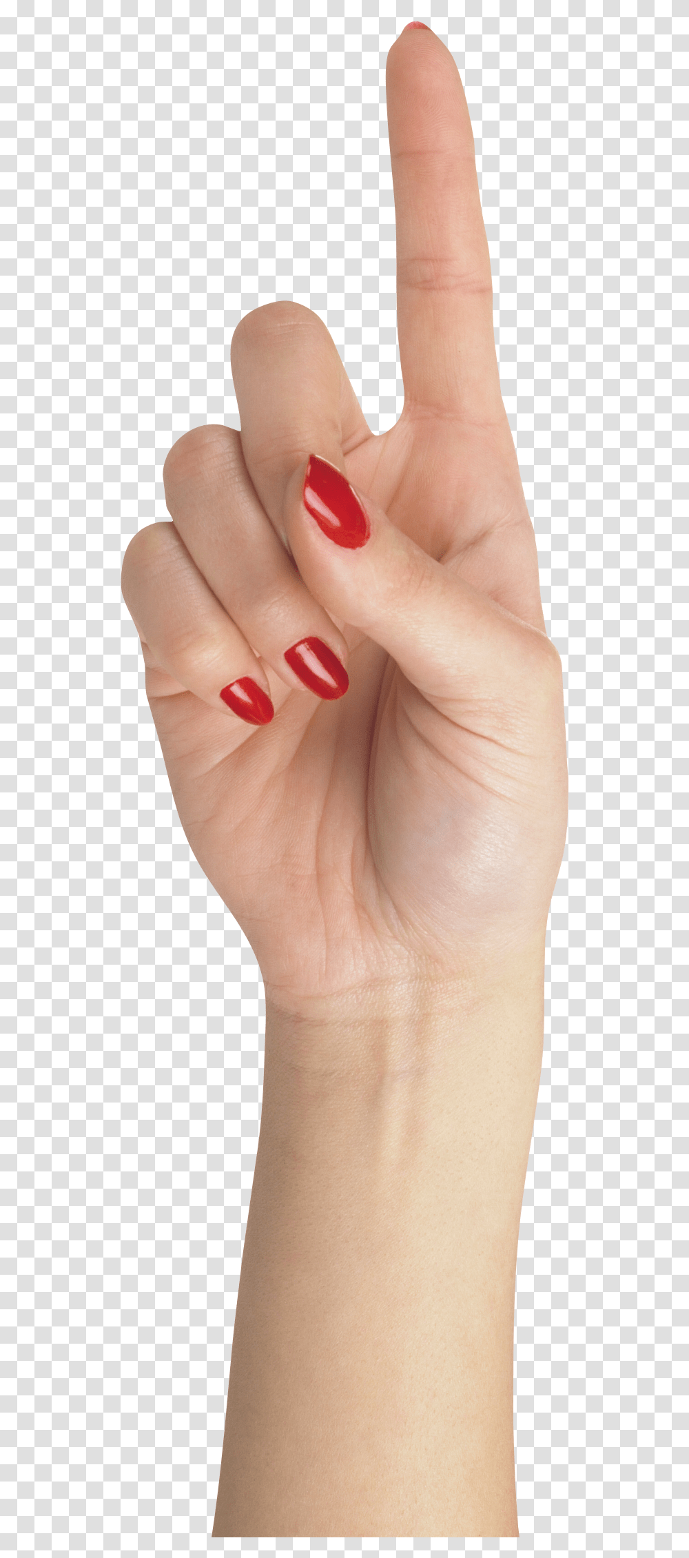 Hands, Person, Human, Manicure, Nail Transparent Png