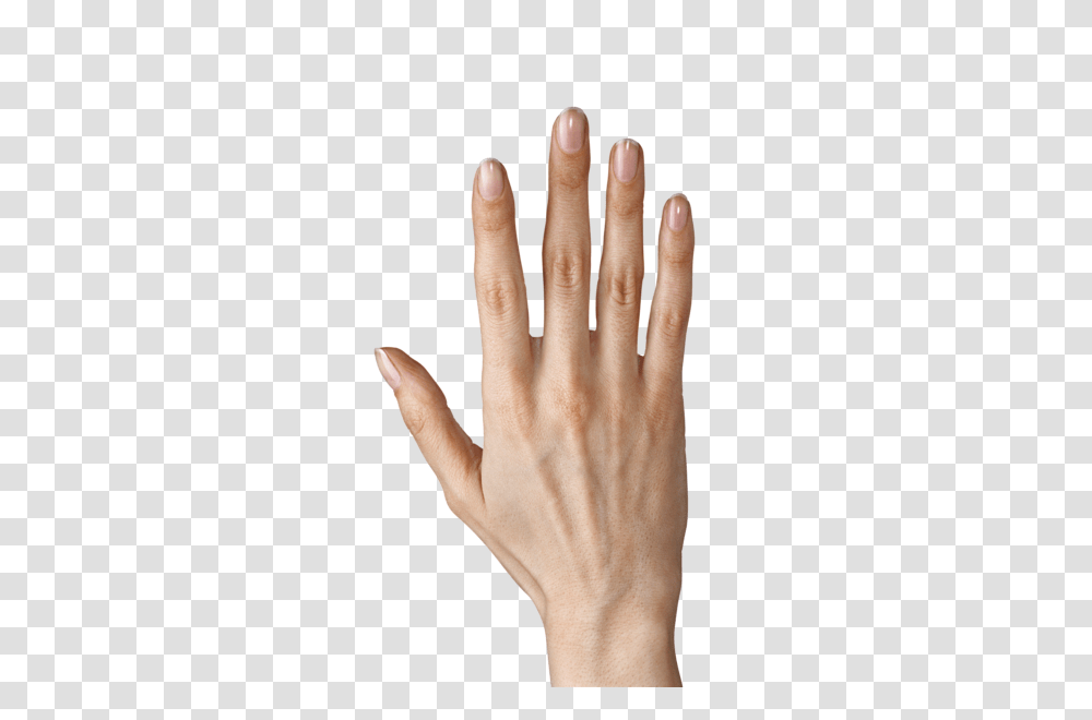 Hands, Person, Human, Nail, Finger Transparent Png