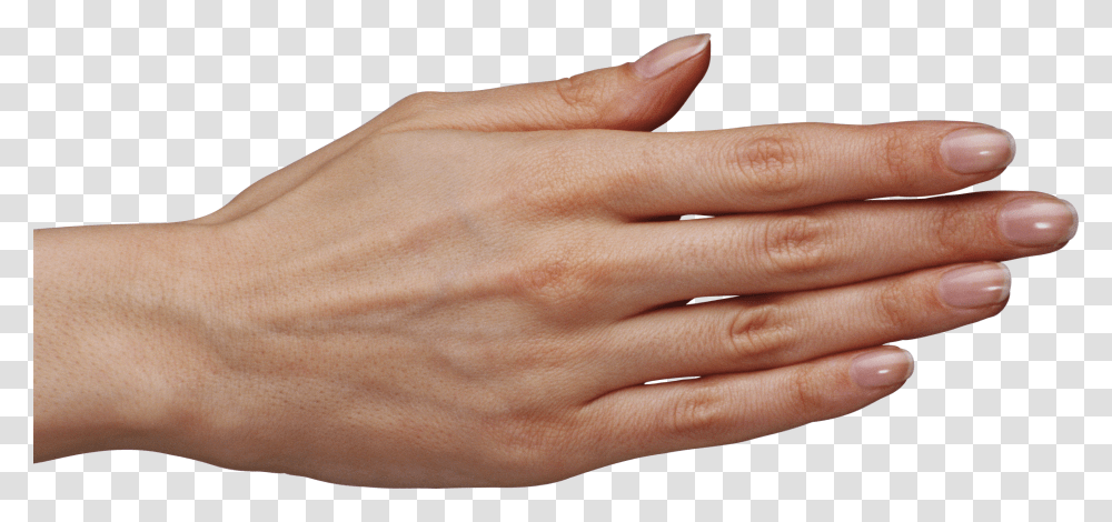 Hands, Person, Human, Nail, Finger Transparent Png