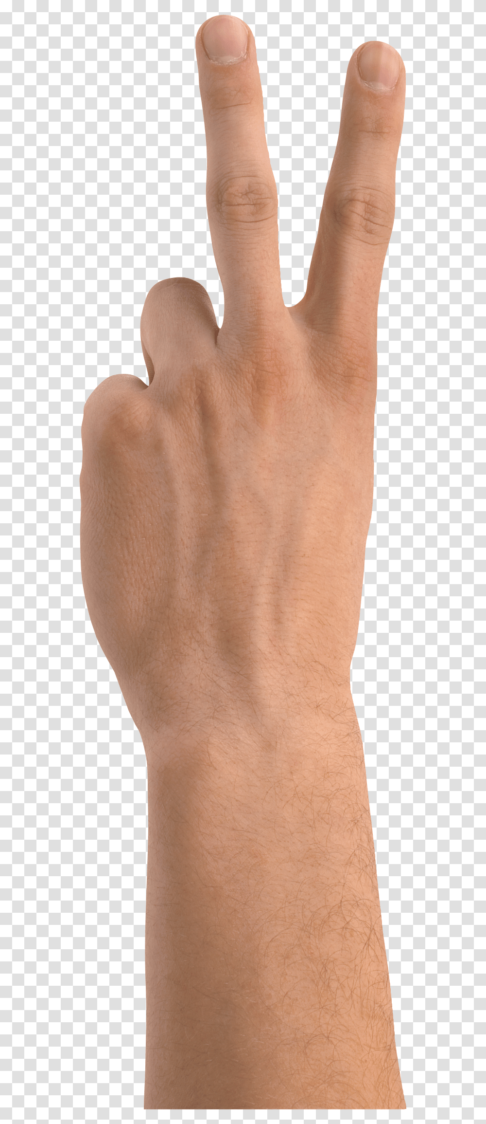 Hands, Person, Human, Skin, Knee Transparent Png