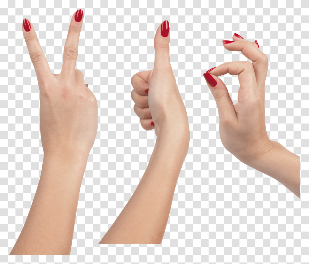 Hands, Person, Human, Thumbs Up, Finger Transparent Png