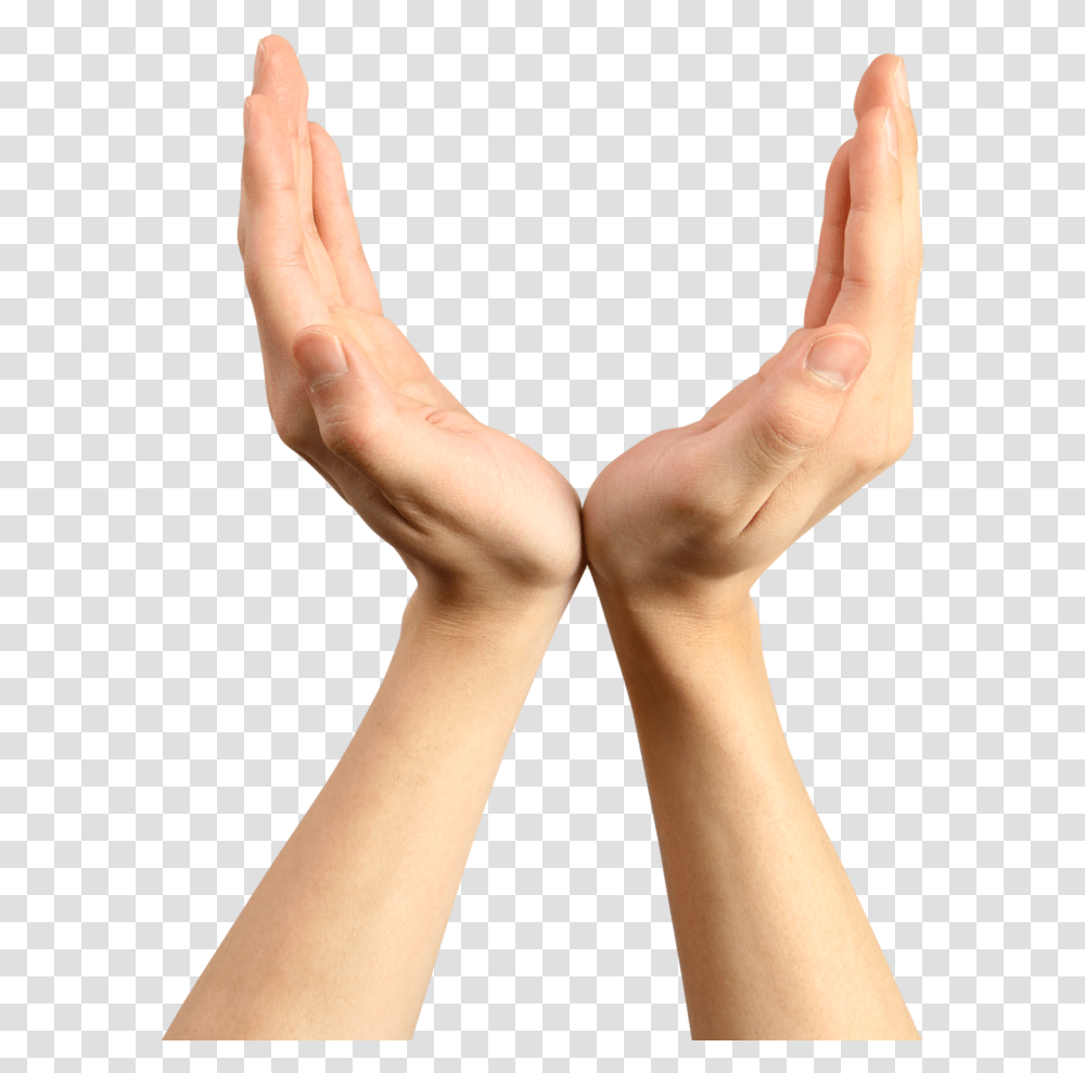 Hands, Person, Human, Wrist, Finger Transparent Png