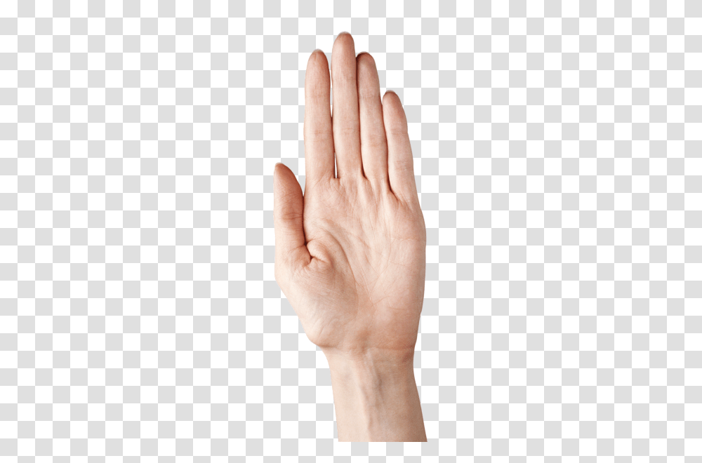 Hands, Person, Human, Wrist, Finger Transparent Png