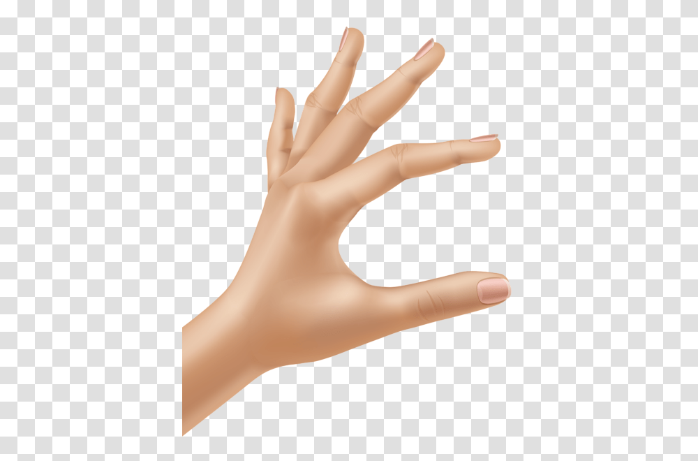 Hands, Person, Human, Wrist, Finger Transparent Png