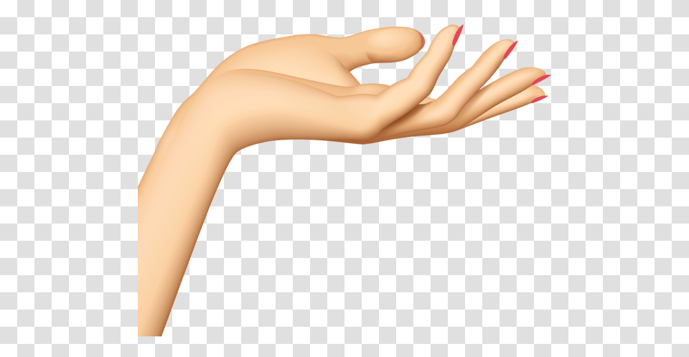 Hands, Person, Human, Wrist, Finger Transparent Png