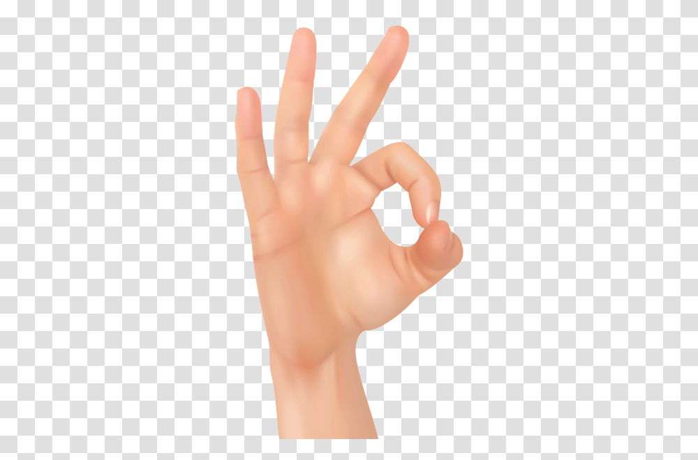 Hands, Person, Human, Wrist, Finger Transparent Png