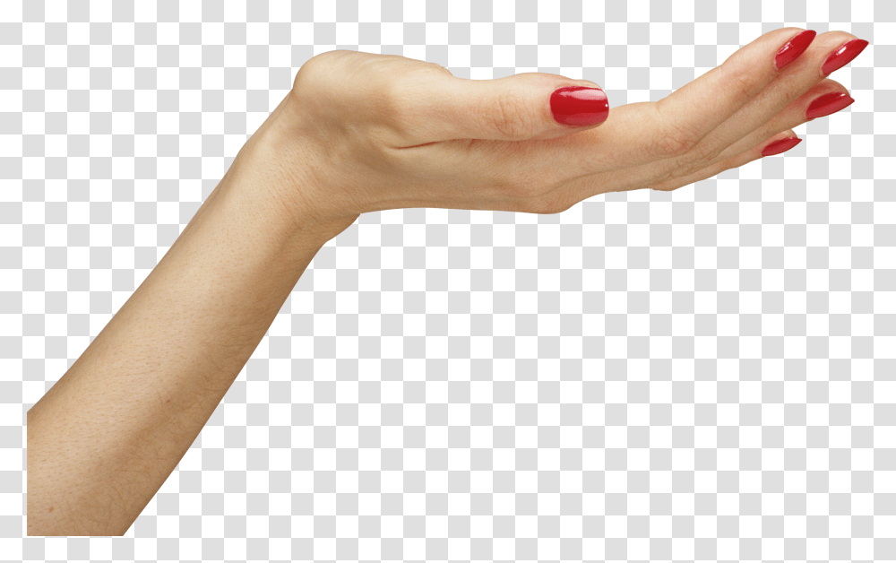 Hands, Person, Human, Wrist, Manicure Transparent Png