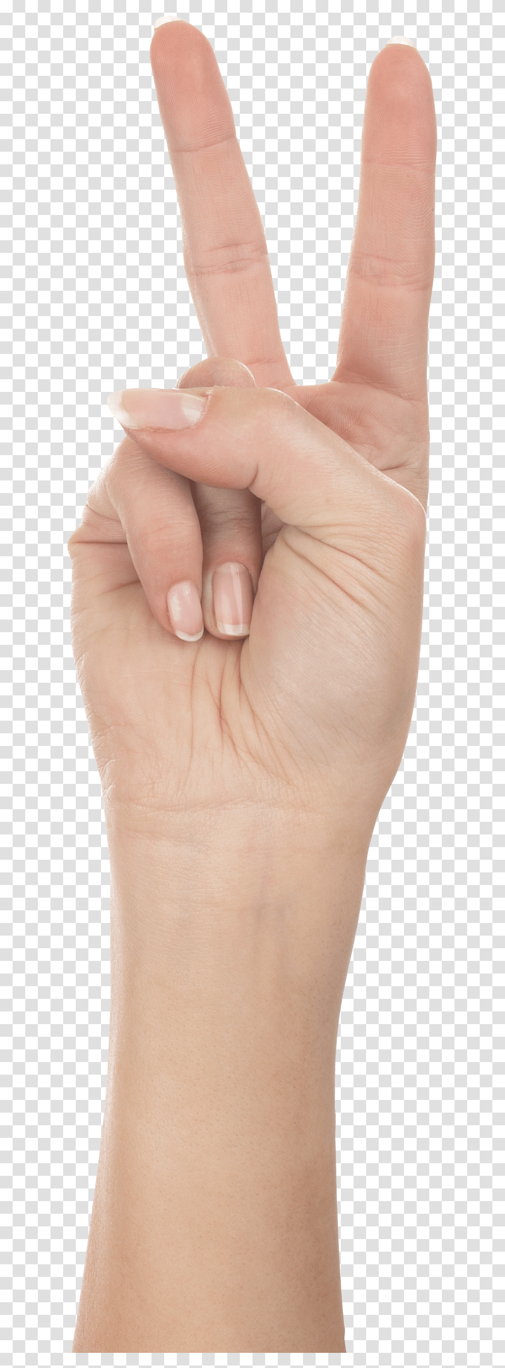 Hands, Person, Human, Wrist, Skin Transparent Png