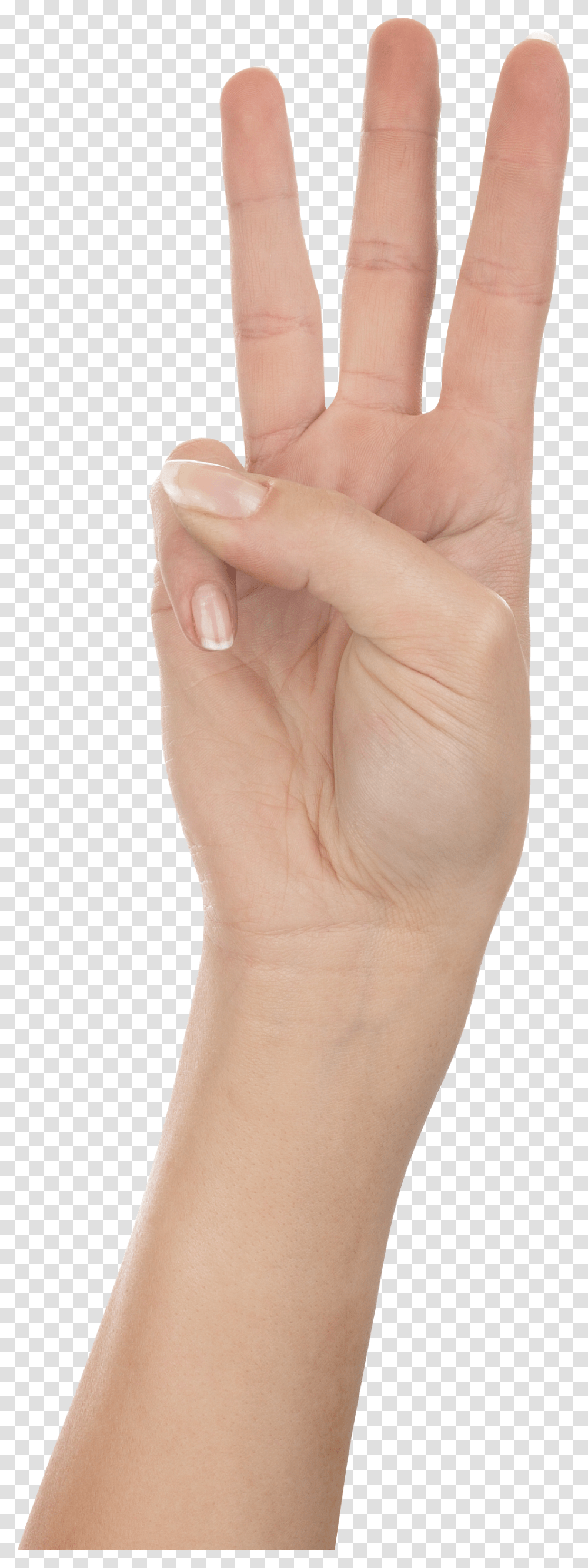 Hands, Person, Human, Wrist, Skin Transparent Png