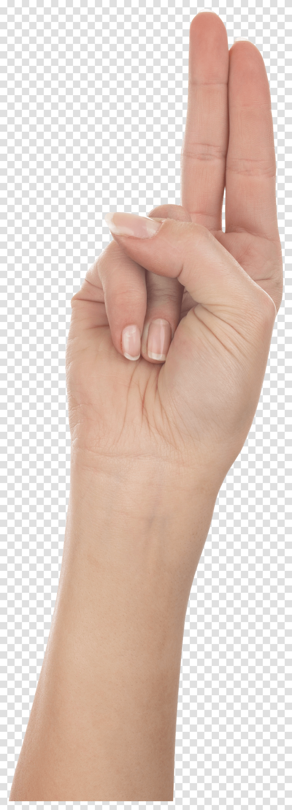 Hands, Person, Human, Wrist, Skin Transparent Png