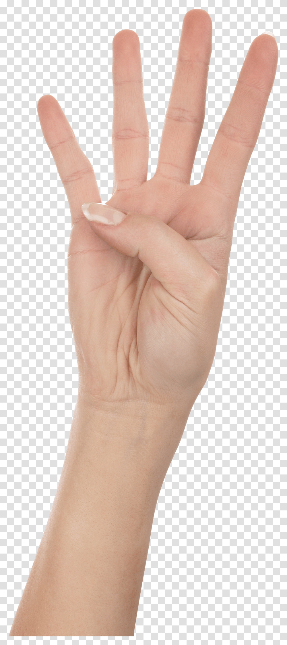 Hands, Person, Skin, Wrist, Finger Transparent Png