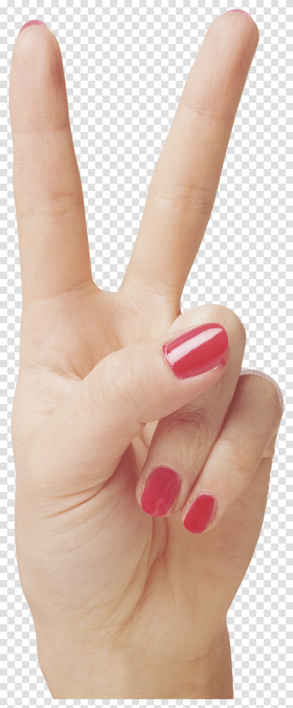 Hands, Person Transparent Png