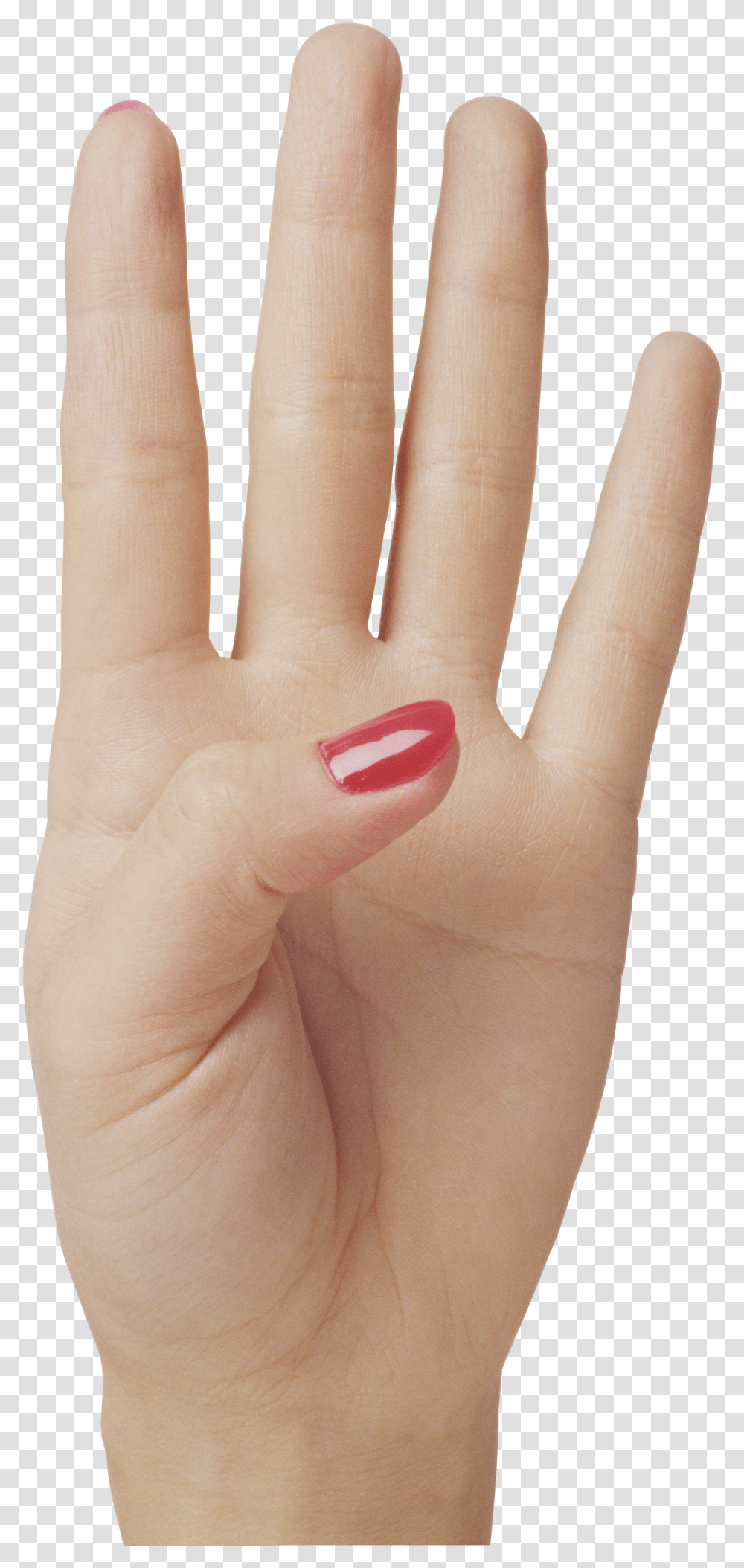 Hands, Person Transparent Png